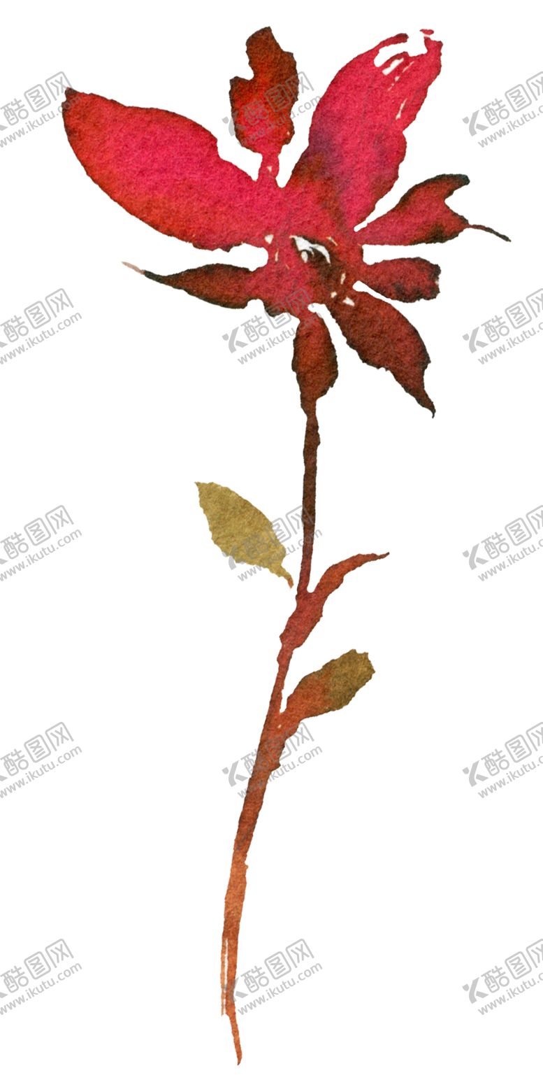 编号：77946502100136204577【酷图网】源文件下载-水彩花纹