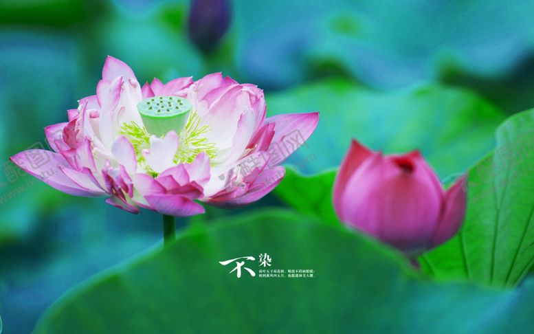 编号：84262107080158579846【酷图网】源文件下载-大自然风景