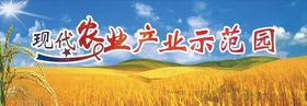 ic产业