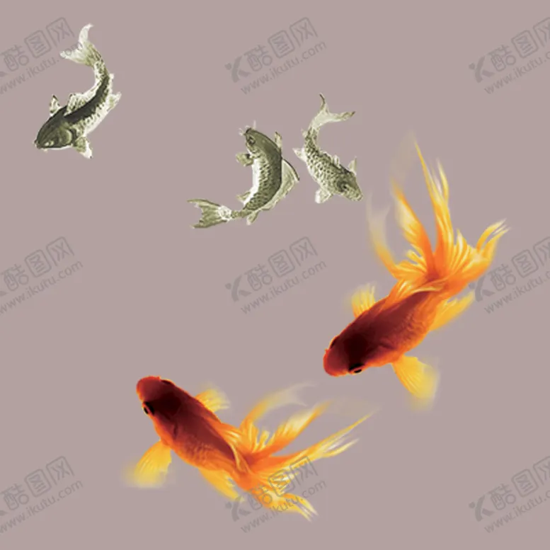 编号：27450909182119393682【酷图网】源文件下载-国潮锦鲤素材  
