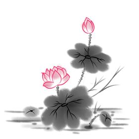 荷花素材夏至夏天手绘