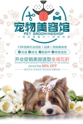 宠物美容