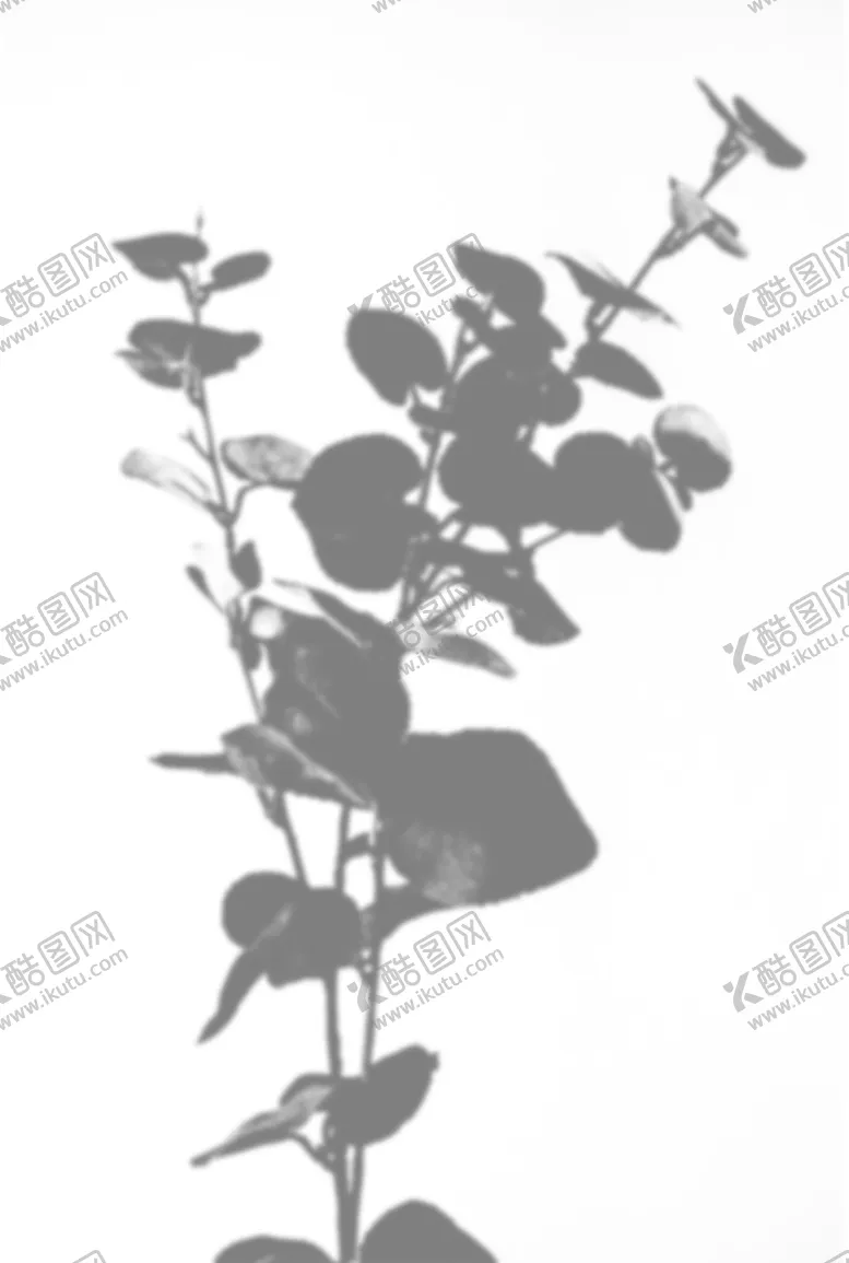 编号：64933305050405095706【酷图网】源文件下载-树影