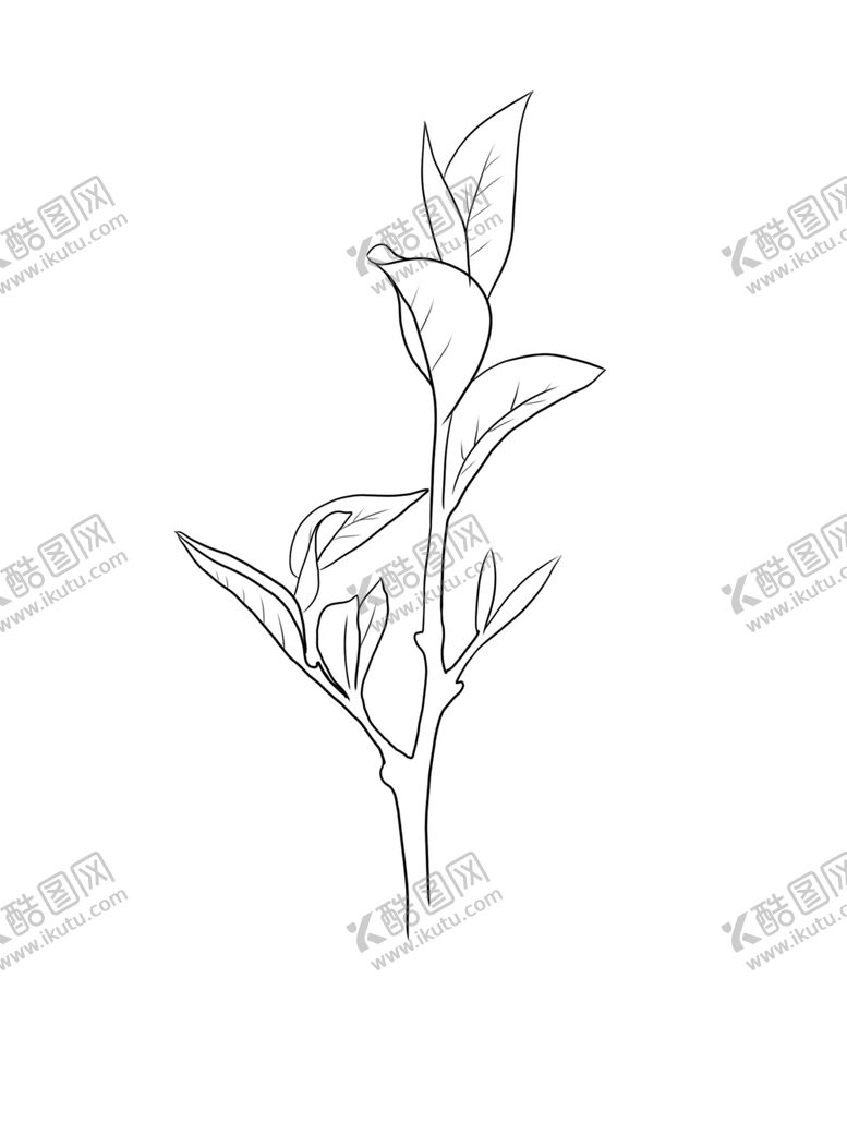 编号：47918909270337418425【酷图网】源文件下载-茶叶