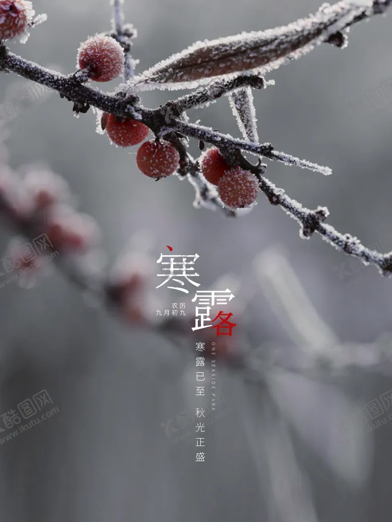 编号：19877410181445081552【酷图网】源文件下载-寒露