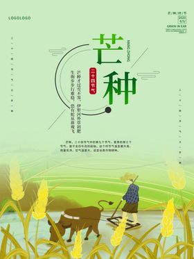 芒种