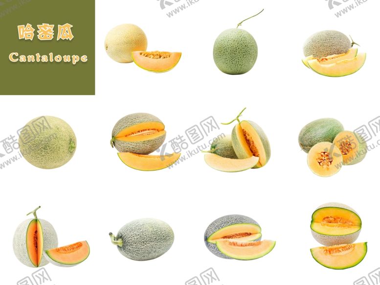 编号：68719306300217295861【酷图网】源文件下载-甜瓜