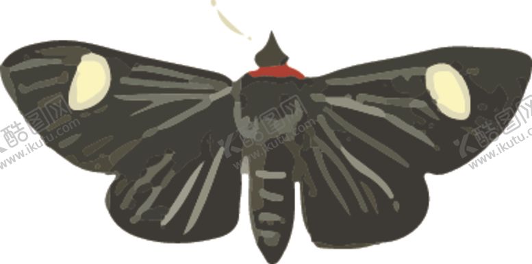 编号：58725310031041545624【酷图网】源文件下载-自然昆虫标本插画