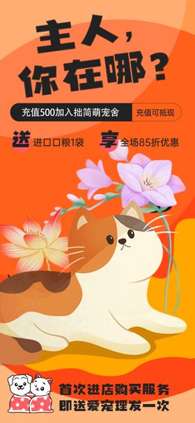 慵懒猫咪盼主人