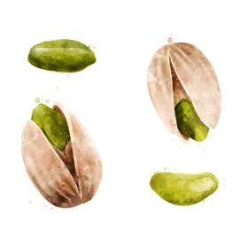 手绘彩色蔬菜免扣素材图片健康饮食食物开心果插画