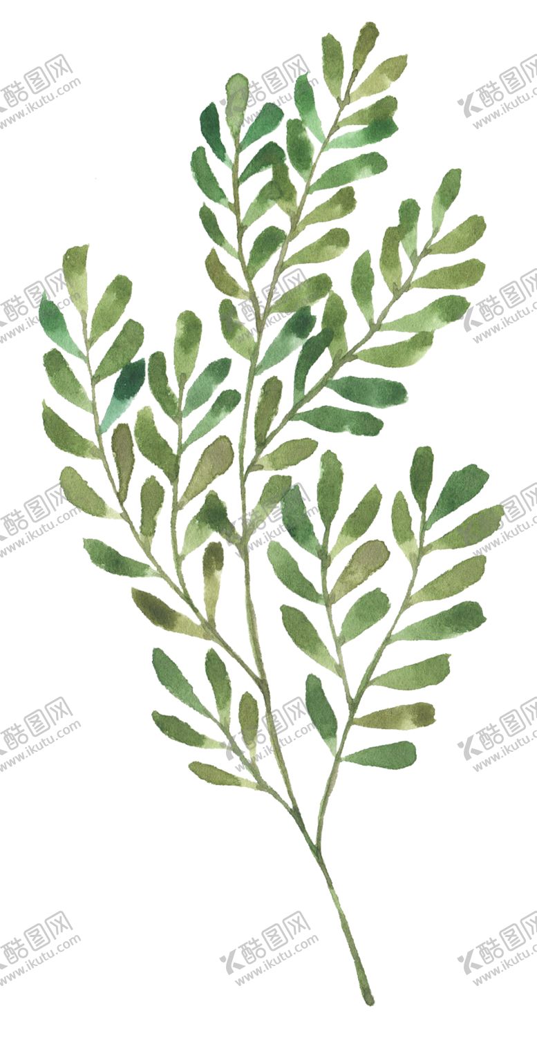 编号：76916205111307481358【酷图网】源文件下载-手绘植物花卉