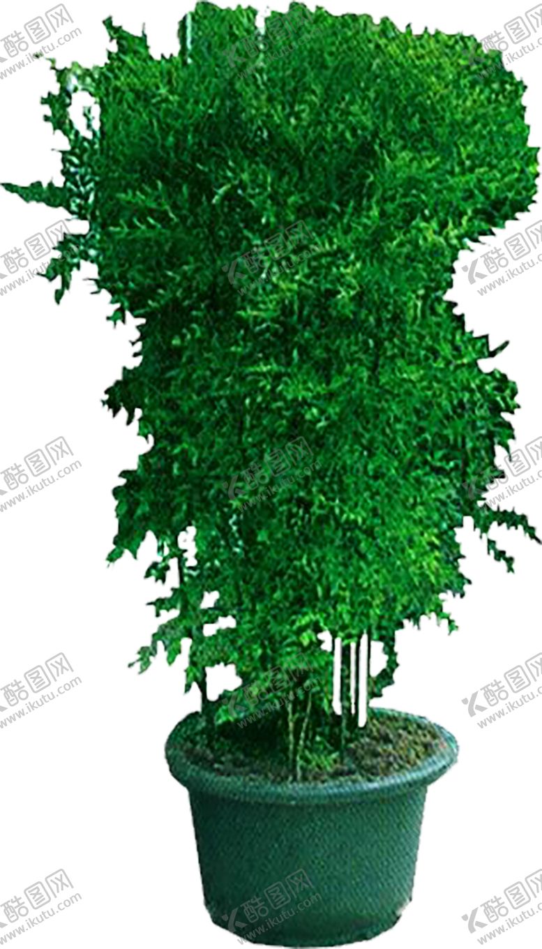 编号：31573409290403576073【酷图网】源文件下载-绿色相框