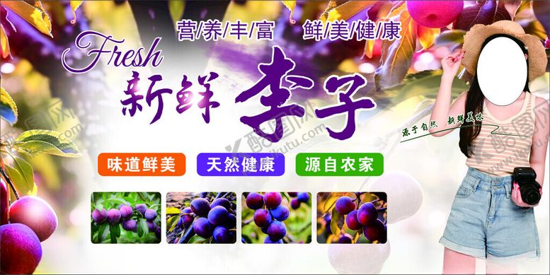 编号：23149402141753532962【酷图网】源文件下载-新鲜李子