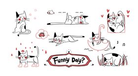 猫咪