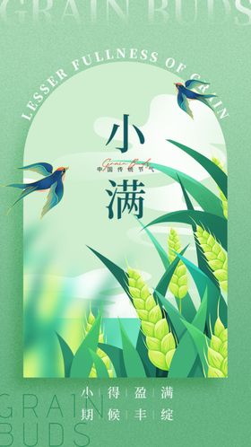 小满海报节日广告宣传24节气