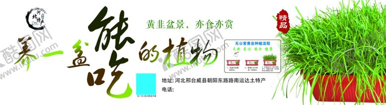 编号：92577404162333086578【酷图网】源文件下载-黄韭盆栽