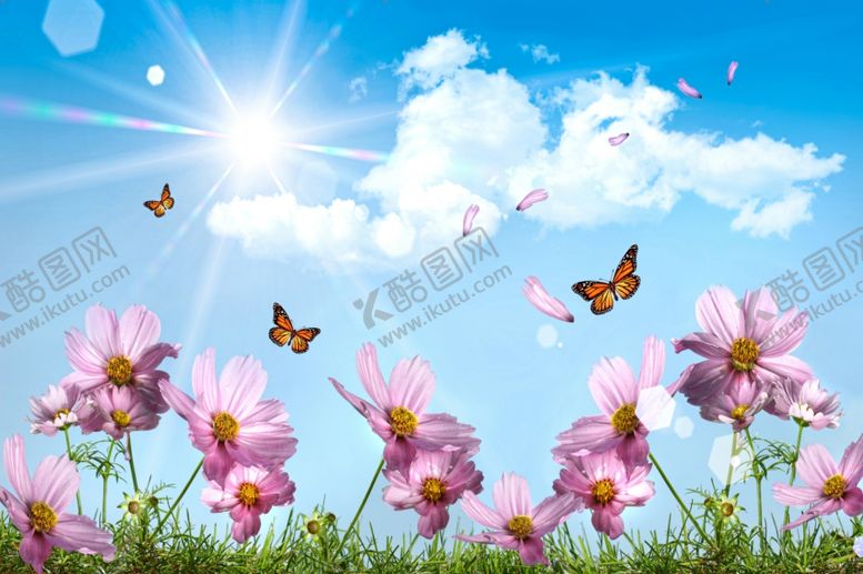 编号：24645604010241428460【酷图网】源文件下载-蓝天白云花海
