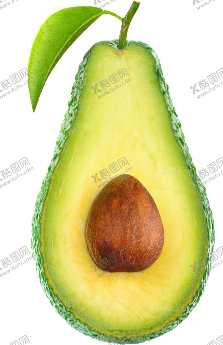 编号：87117109241620376915【酷图网】源文件下载-牛油果