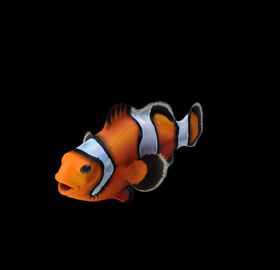 海洋生物