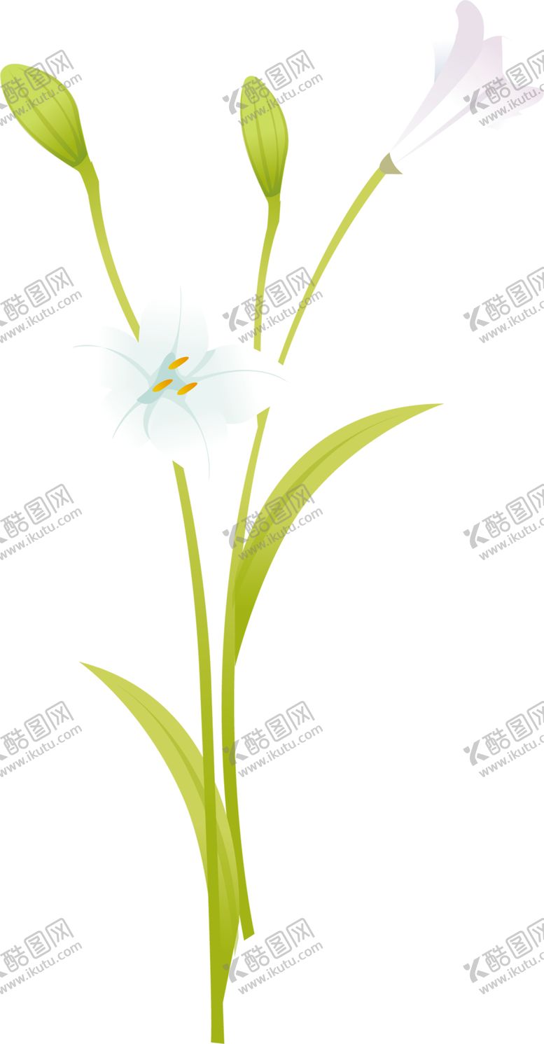 编号：77575306151254076286【酷图网】源文件下载-鲜花素材