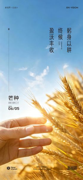 芒种二十四节气海报单图