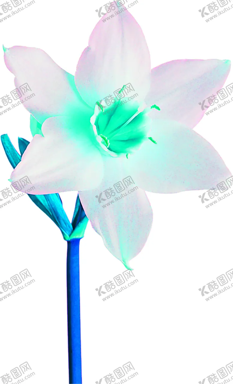 编号：69186206281713116873【酷图网】源文件下载-花素材
