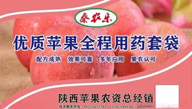优质苹果套袋