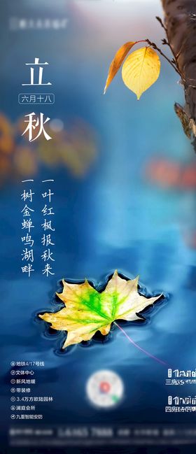立秋