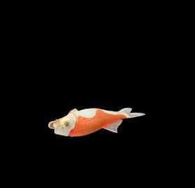 海洋生物