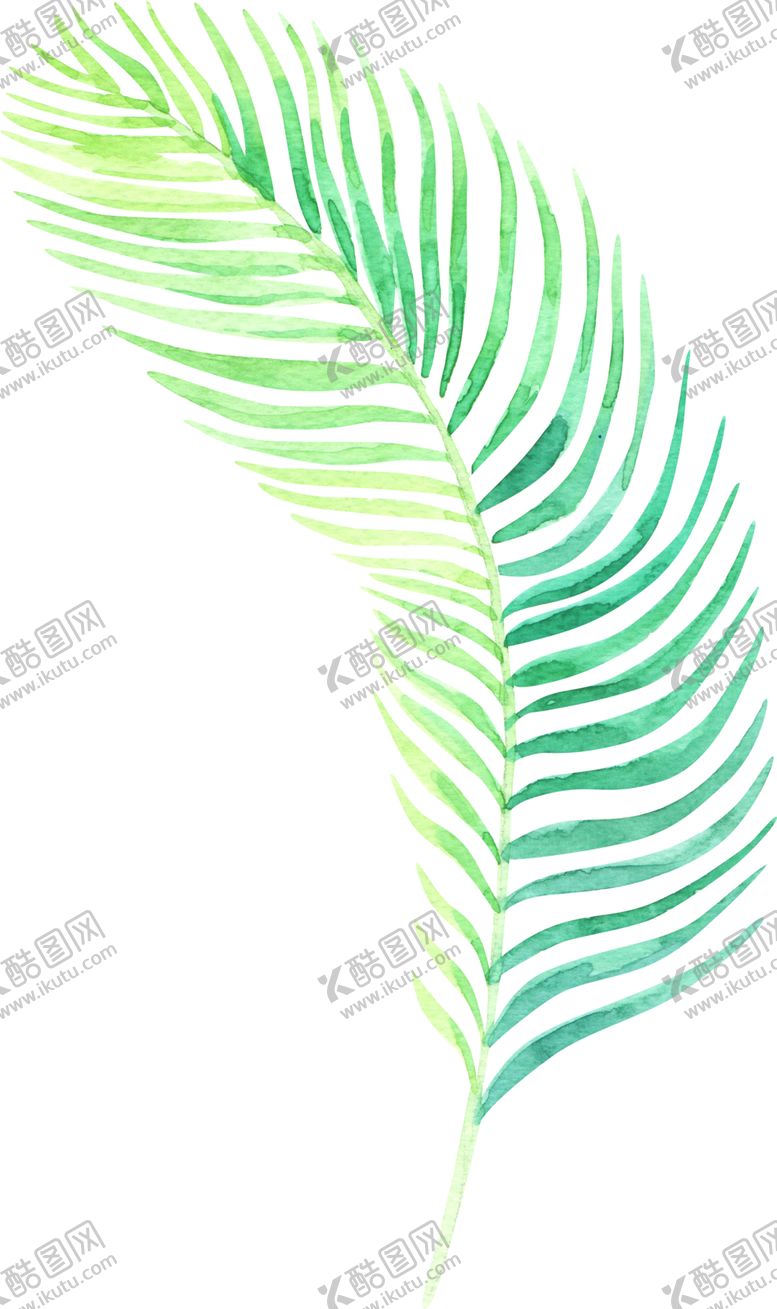 编号：10531405110727502653【酷图网】源文件下载-树叶