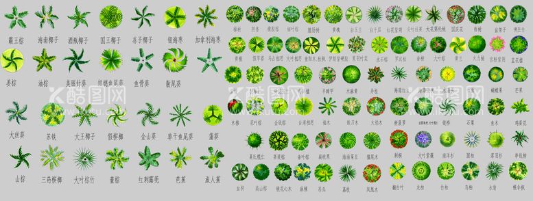 编号：45392109211712017563【酷图网】源文件下载-顶视图树木贴图