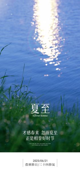 夏至节气海报