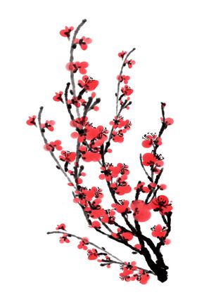 中国风水墨梅