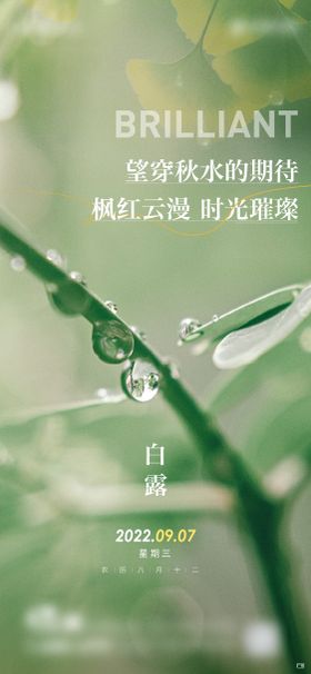 白露节气海报