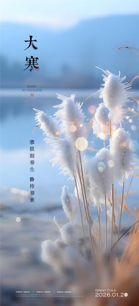 酒吧大寒节气移动端海报