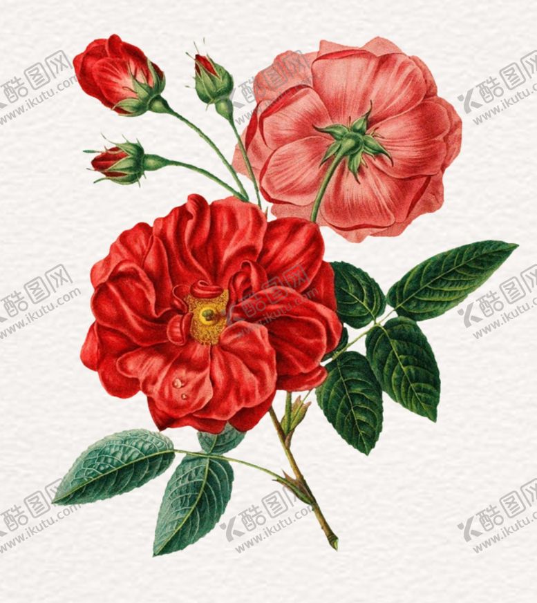 编号：31718110300927335980【酷图网】源文件下载-手绘花朵