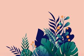 扁平风插画植物