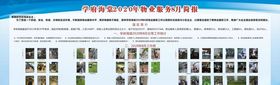 简报