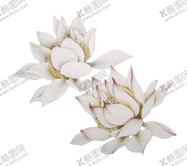 编号：15930910191538054422【酷图网】源文件下载-工笔花鸟背景墙装饰画