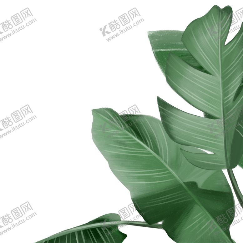 编号：67907301140454226665【酷图网】源文件下载-绿色芭蕉叶