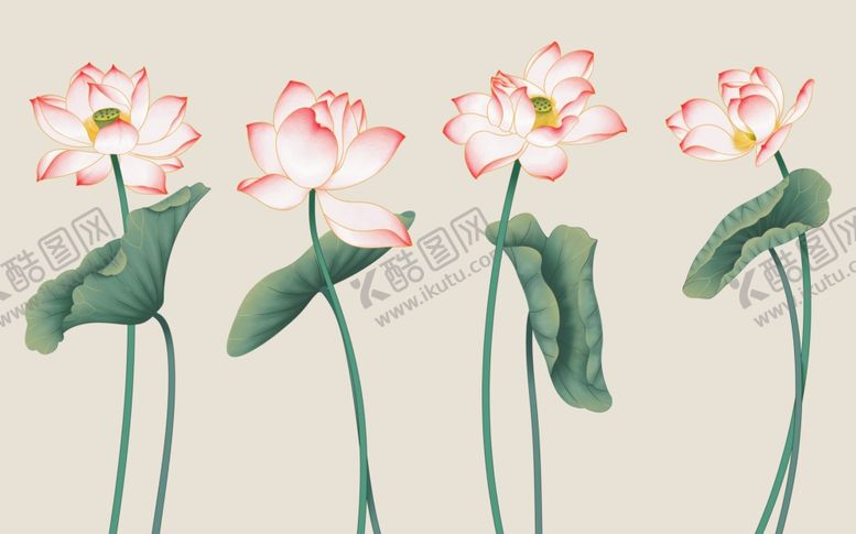 编号：59598809172334309806【酷图网】源文件下载-荷花