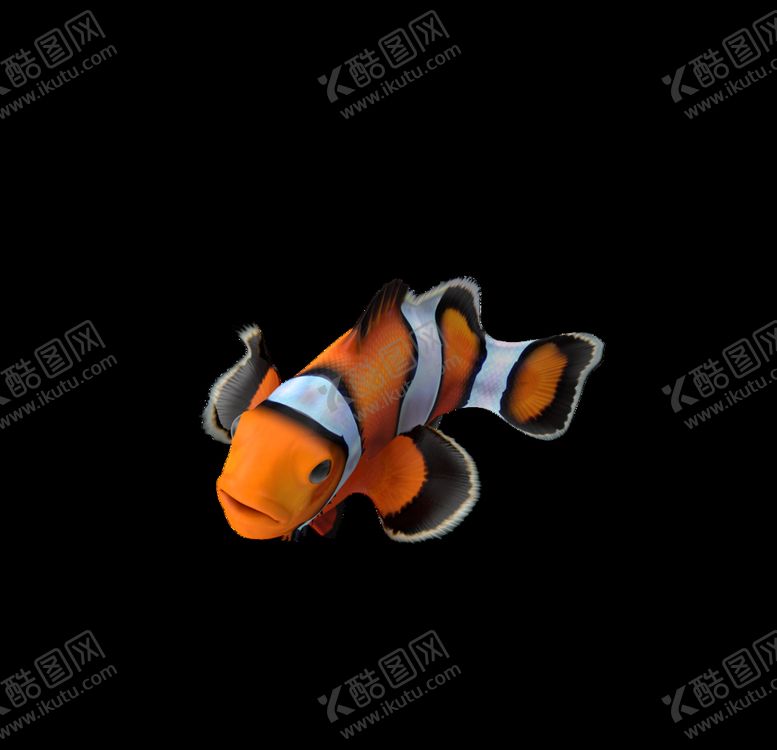 编号：66950410191841093302【酷图网】源文件下载-海洋生物