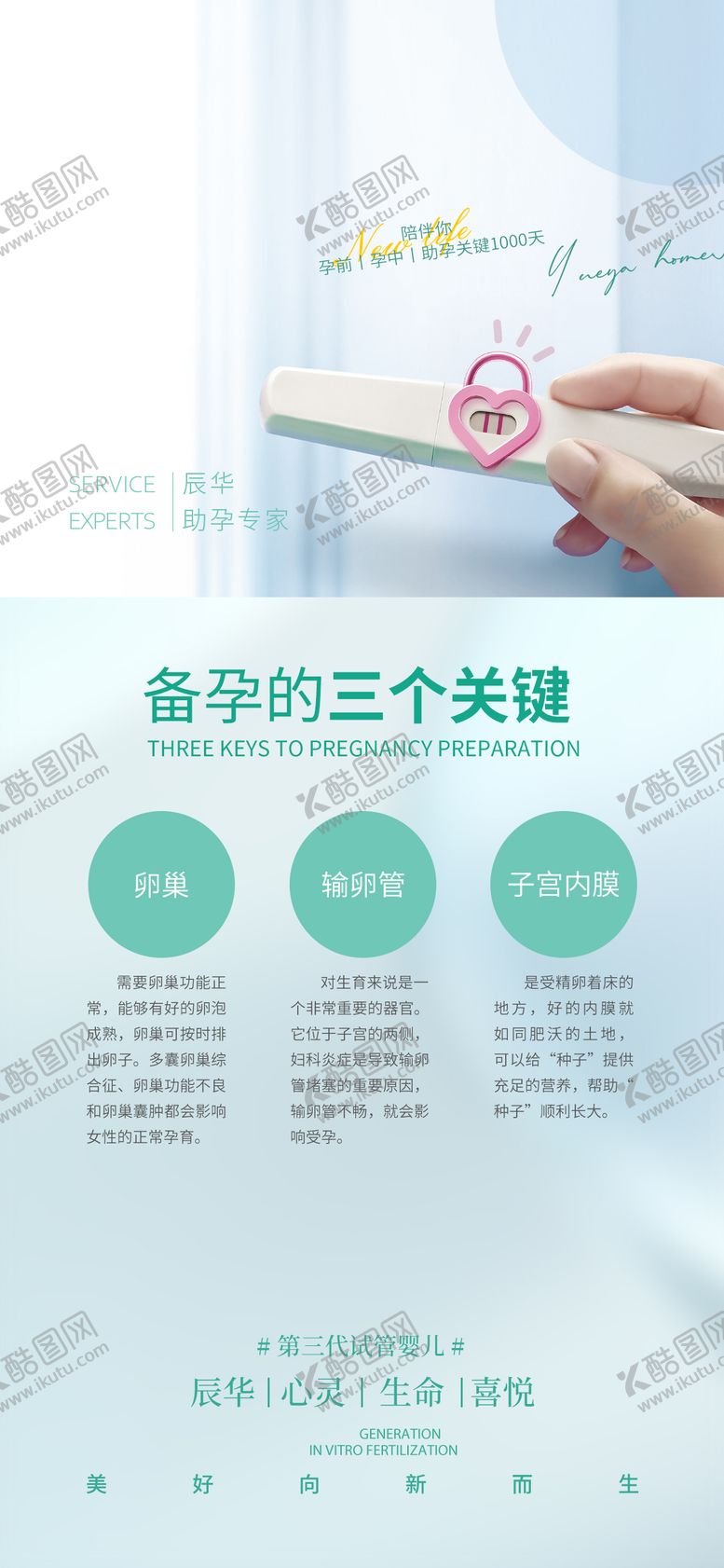 编号：19617101232030557545【酷图网】源文件下载-备孕科普海报