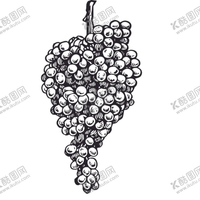 编号：10619310151912058332【酷图网】源文件下载-水果绘画线稿图案
