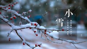 小雪海报