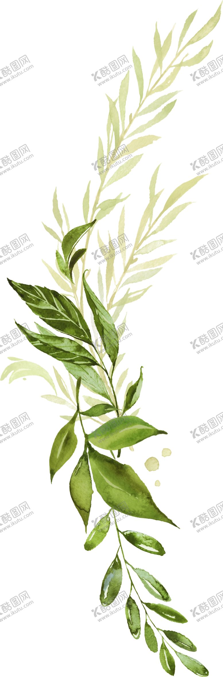 编号：17967909232240389961【酷图网】源文件下载-手绘植物叶子