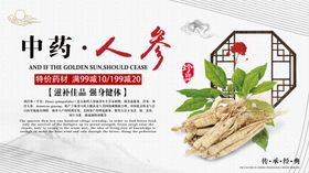 中药西洋参  手绘人参包装鲜人参