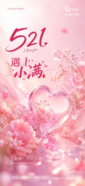小满521节气宣传海报