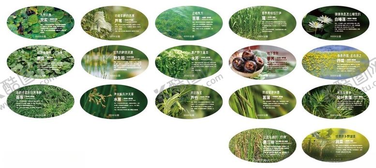 编号：46025210071442083949【酷图网】源文件下载-绿色植物科普展板