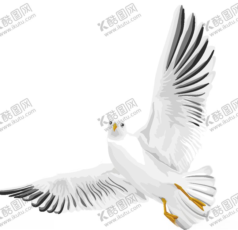 编号：81155207140813145848【酷图网】源文件下载-飞翔的鸟